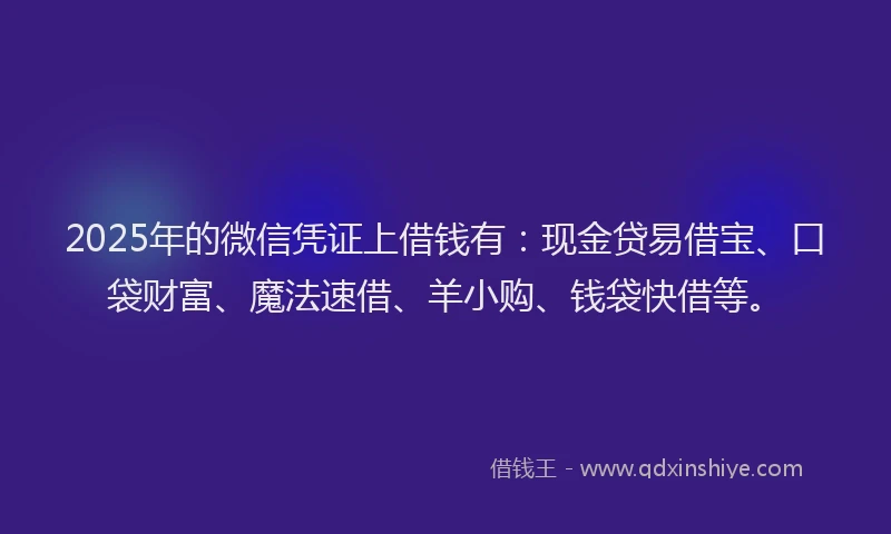 2025年的微信凭证上借钱有：现金贷易借宝、口袋财富、魔法速借、羊小购、钱袋快借等。