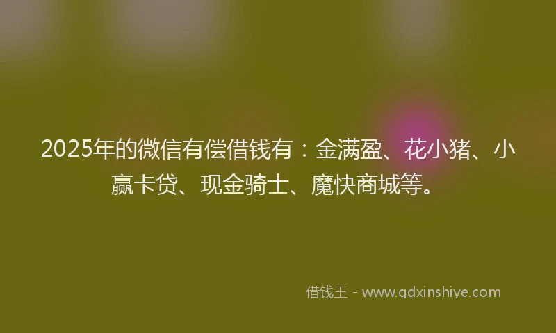 2025年的微信有偿借钱有：金满盈、花小猪、小赢卡贷、现金骑士、魔快商城等。