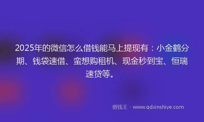 2025年的微信怎么借钱能马上提现有：小金鹤分期、钱袋速借、蛮想购租机、现金秒到宝、恒瑞速贷等。