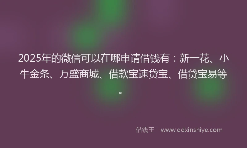 2025年的微信可以在哪申请借钱有：新一花、小牛金条、万盛商城、借款宝速贷宝、借贷宝易等。