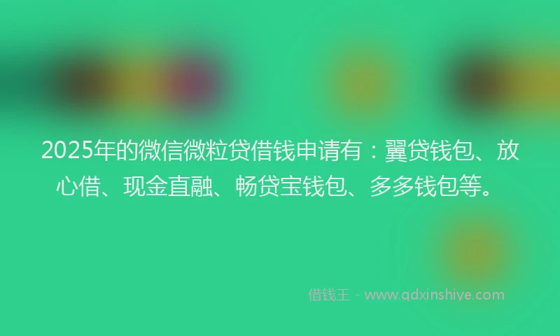 2025年的微信微粒贷借钱申请有：翼贷钱包、放心借、现金直融、畅贷宝钱包、多多钱包等。