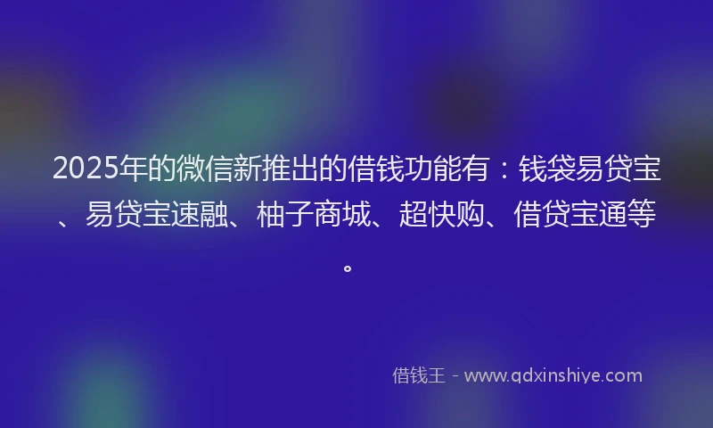 2025年的微信新推出的借钱功能有：钱袋易贷宝、易贷宝速融、柚子商城、超快购、借贷宝通等。