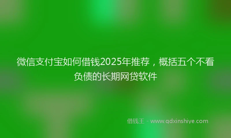 微信支付宝如何借钱2025年推荐，概括五个不看负债的长期网贷软件