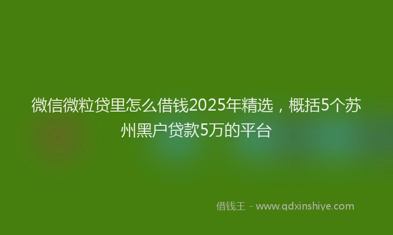 微信微粒贷里怎么借钱2025年精选，概括5个苏州黑户贷款5万的平台