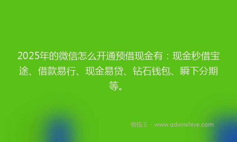 2025年的微信怎么开通预借现金有：现金秒借宝途、借款易行、现金易贷、钻石钱包、瞬下分期等。