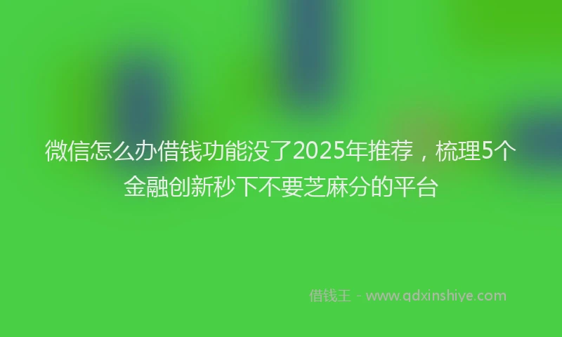 微信怎么办借钱功能没了2025年推荐，梳理5个金融创新秒下不要芝麻分的平台