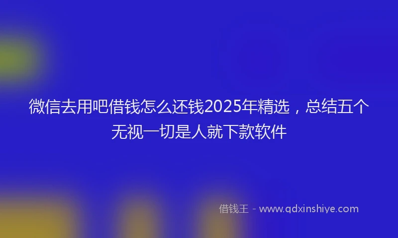 微信去用吧借钱怎么还钱2025年精选，总结五个无视一切是人就下款软件