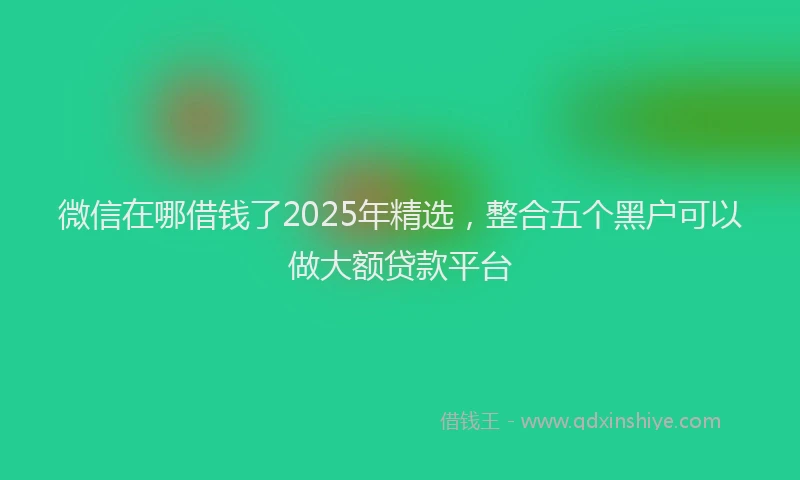 微信在哪借钱了2025年精选，整合五个黑户可以做大额贷款平台
