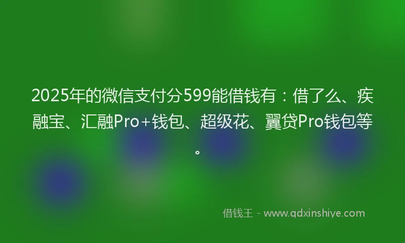 2025年的微信支付分599能借钱有：借了么、疾融宝、汇融Pro+钱包、超级花、翼贷Pro钱包等。