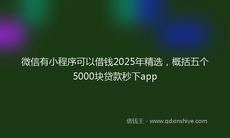 微信有小程序可以借钱2025年精选，概括五个5000块贷款秒下app