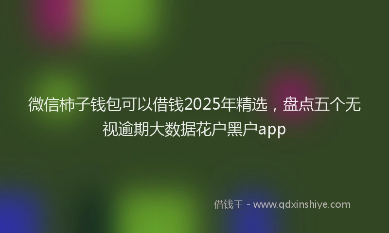 微信柿子钱包可以借钱2025年精选，盘点五个无视逾期大数据花户黑户app