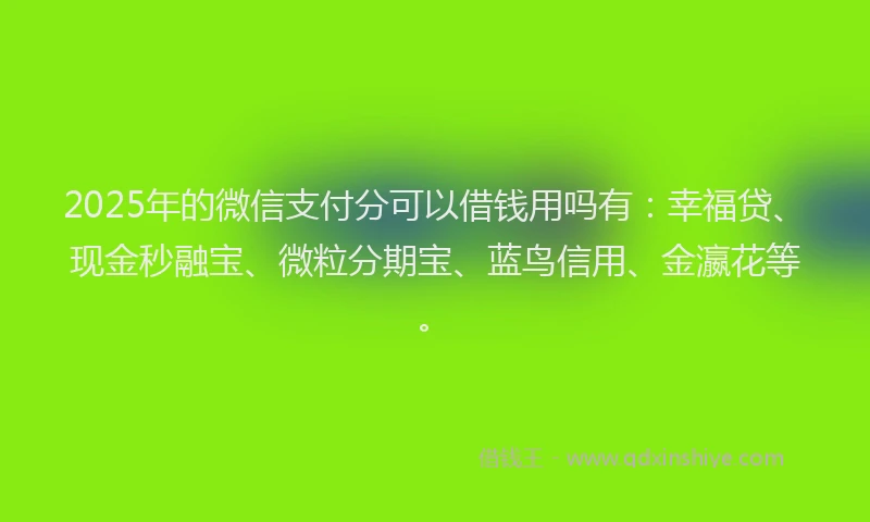 2025年的微信支付分可以借钱用吗有：幸福贷、现金秒融宝、微粒分期宝、蓝鸟信用、金瀛花等。