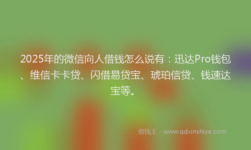 2025年的微信向人借钱怎么说有：迅达Pro钱包、维信卡卡贷、闪借易贷宝、琥珀信贷、钱速达宝等。