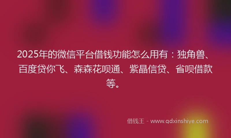 2025年的微信平台借钱功能怎么用有：独角兽、百度贷你飞、森森花呗通、紫晶信贷、省呗借款等。