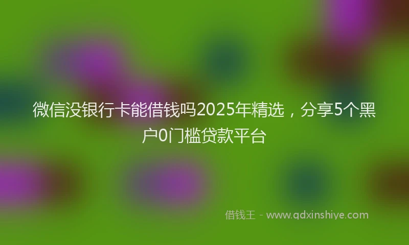 微信没银行卡能借钱吗2025年精选，分享5个黑户0门槛贷款平台