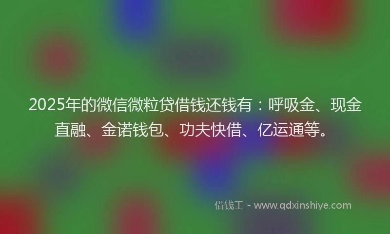 2025年的微信微粒贷借钱还钱有：呼吸金、现金直融、金诺钱包、功夫快借、亿运通等。