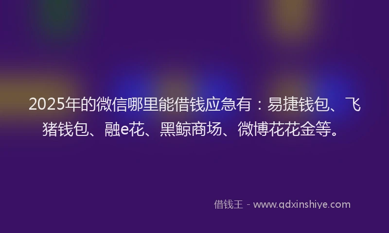 2025年的微信哪里能借钱应急有：易捷钱包、飞猪钱包、融e花、黑鲸商场、微博花花金等。