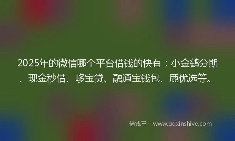 2025年的微信哪个平台借钱的快有：小金鹤分期、现金秒借、哆宝贷、融通宝钱包、鹿优选等。