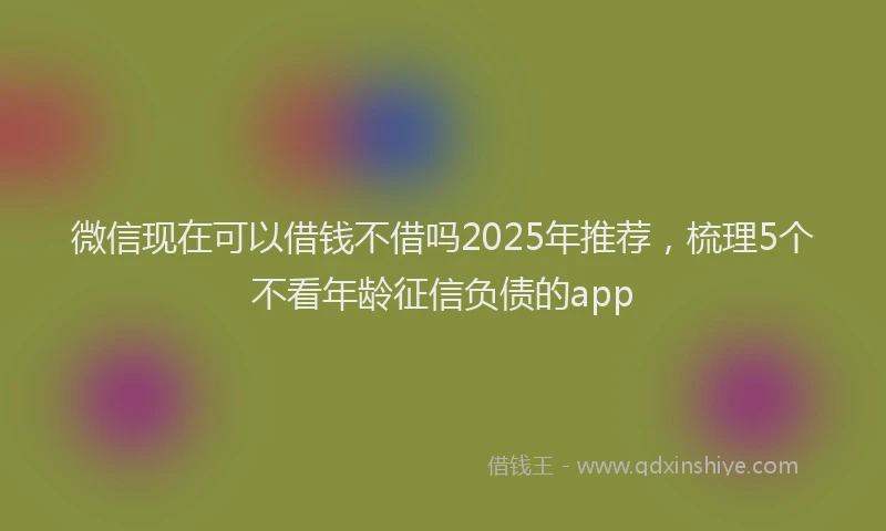 微信现在可以借钱不借吗2025年推荐，梳理5个不看年龄征信负债的app