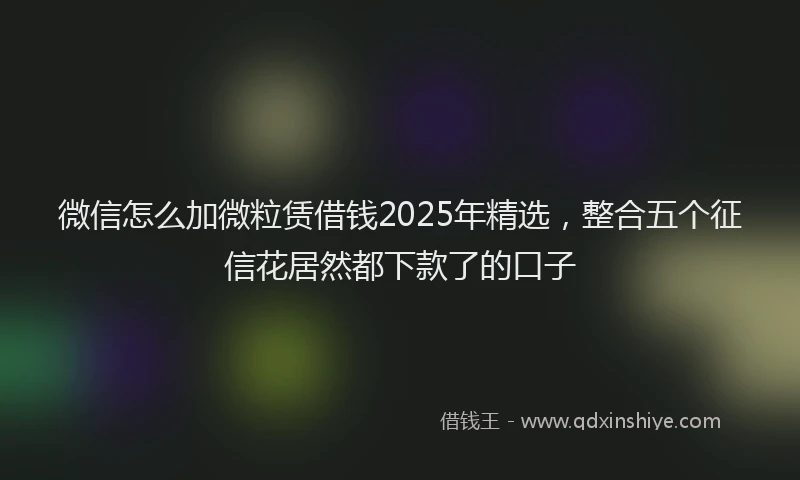 微信怎么加微粒赁借钱2025年精选，整合五个征信花居然都下款了的口子