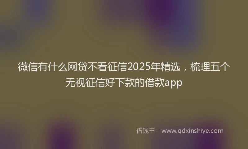 微信有什么网贷不看征信2025年精选，梳理五个无视征信好下款的借款app