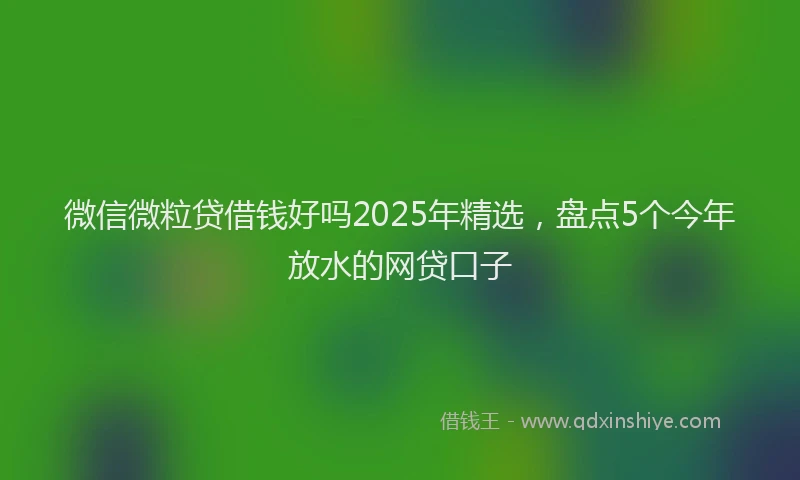 微信微粒贷借钱好吗2025年精选，盘点5个今年放水的网贷口子