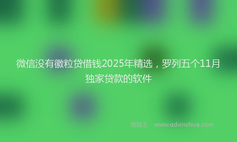 微信没有徽粒贷借钱2025年精选，罗列五个11月独家贷款的软件