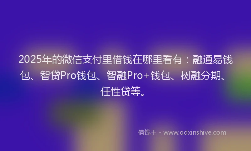 2025年的微信支付里借钱在哪里看有：融通易钱包、智贷Pro钱包、智融Pro+钱包、树融分期、任性贷等。
