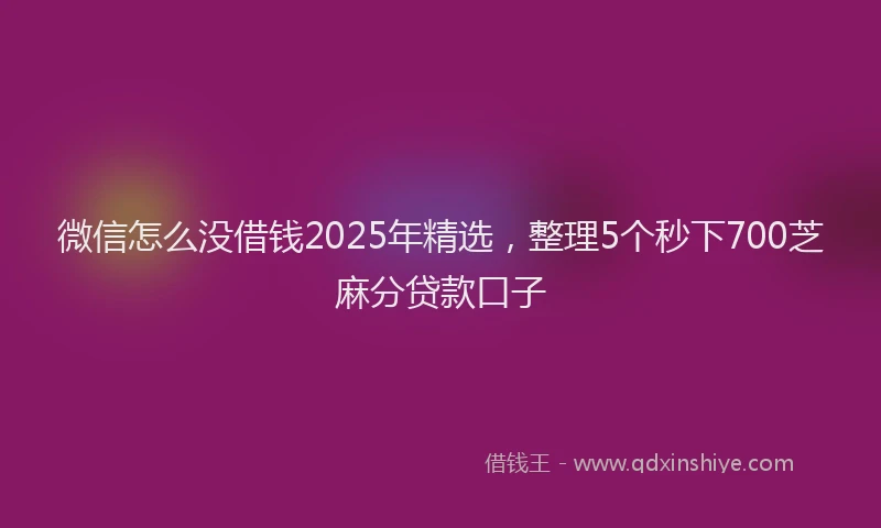 微信怎么没借钱2025年精选，整理5个秒下700芝麻分贷款口子