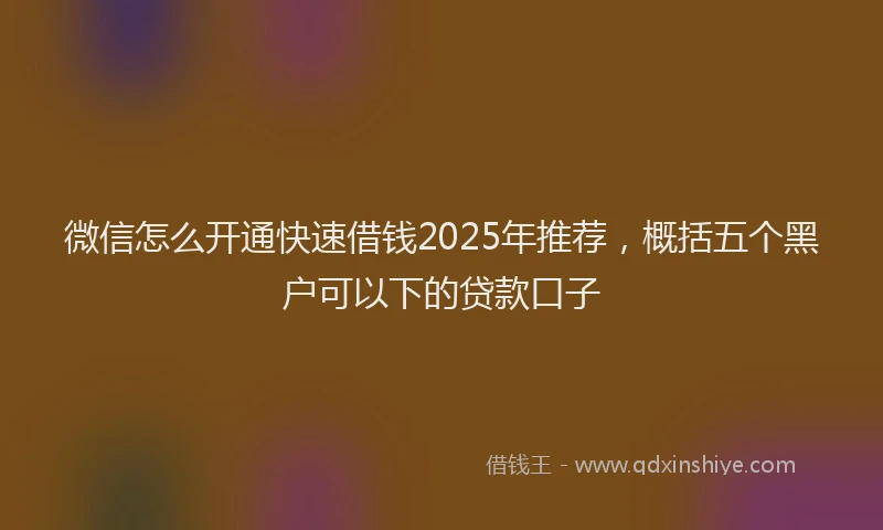 微信怎么开通快速借钱2025年推荐，概括五个黑户可以下的贷款口子