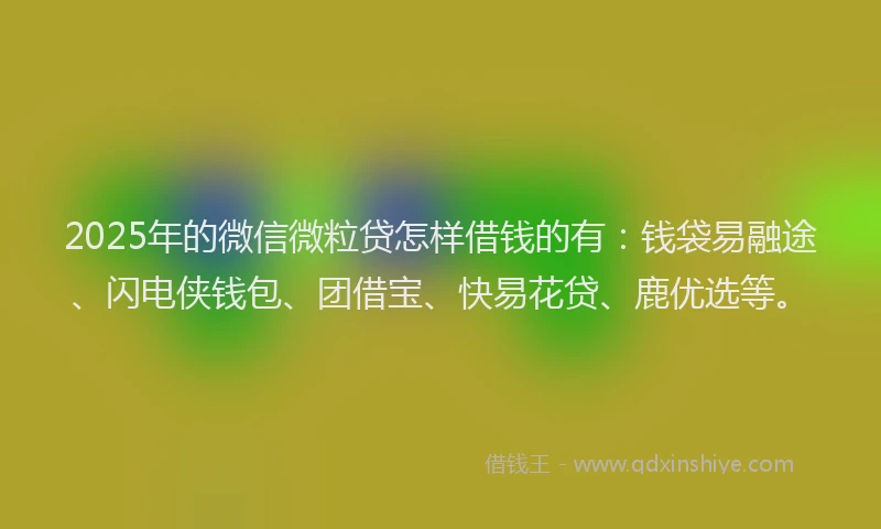 2025年的微信微粒贷怎样借钱的有：钱袋易融途、闪电侠钱包、团借宝、快易花贷、鹿优选等。