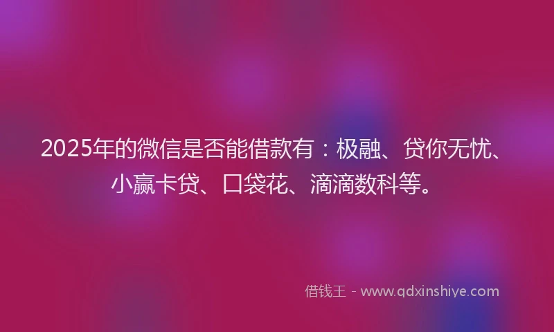 2025年的微信是否能借款有：极融、贷你无忧、小赢卡贷、口袋花、滴滴数科等。