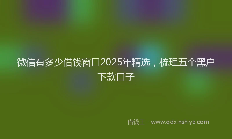 微信有多少借钱窗口2025年精选，梳理五个黑户下款口子