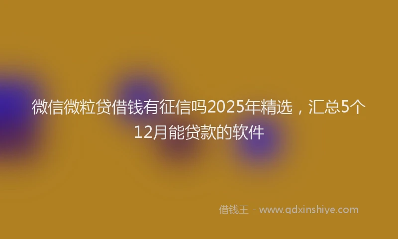 微信微粒贷借钱有征信吗2025年精选，汇总5个12月能贷款的软件