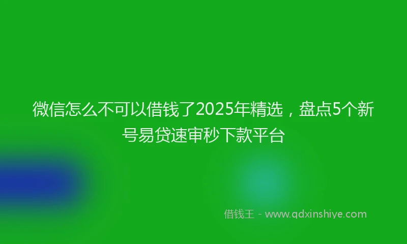 微信怎么不可以借钱了2025年精选，盘点5个新号易贷速审秒下款平台