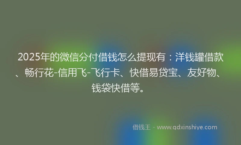 2025年的微信分付借钱怎么提现有：洋钱罐借款、畅行花-信用飞-飞行卡、快借易贷宝、友好物、钱袋快借等。