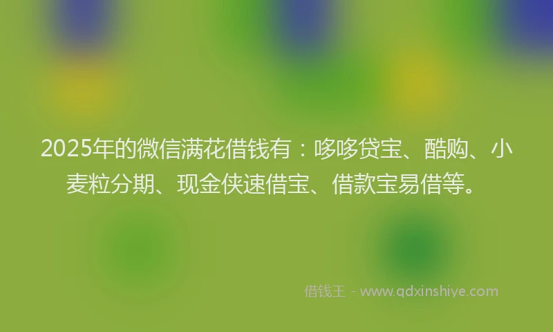 2025年的微信满花借钱有：哆哆贷宝、酷购、小麦粒分期、现金侠速借宝、借款宝易借等。