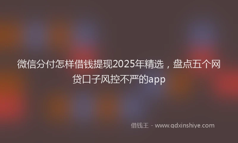微信分付怎样借钱提现2025年精选，盘点五个网贷口子风控不严的app