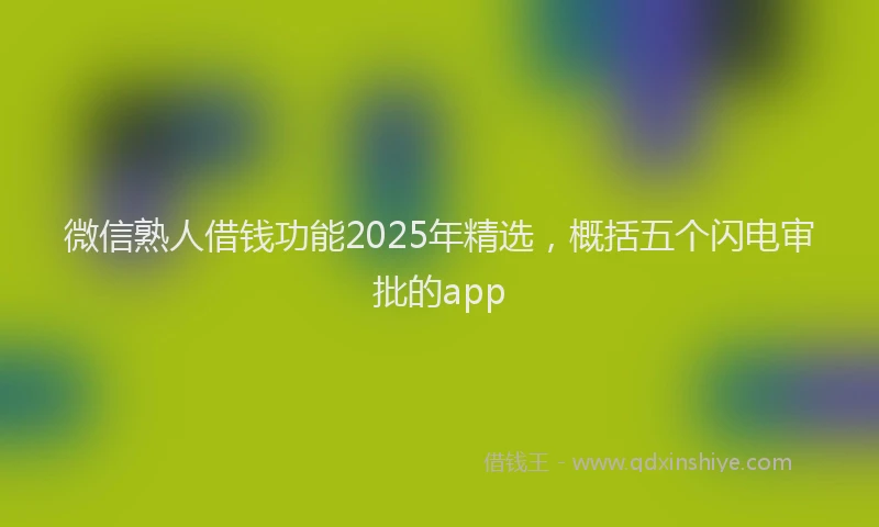 微信熟人借钱功能2025年精选，概括五个闪电审批的app