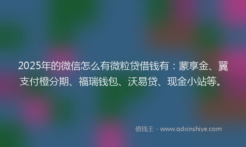 2025年的微信怎么有微粒贷借钱有：蒙享金、翼支付橙分期、福瑞钱包、沃易贷、现金小站等。