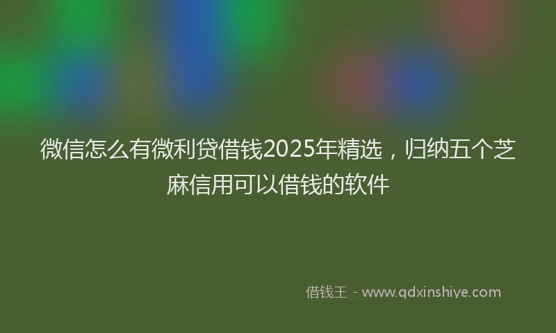 微信怎么有微利贷借钱2025年精选，归纳五个芝麻信用可以借钱的软件