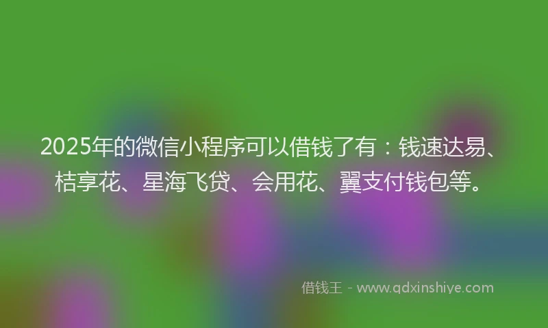 2025年的微信小程序可以借钱了有：钱速达易、桔享花、星海飞贷、会用花、翼支付钱包等。