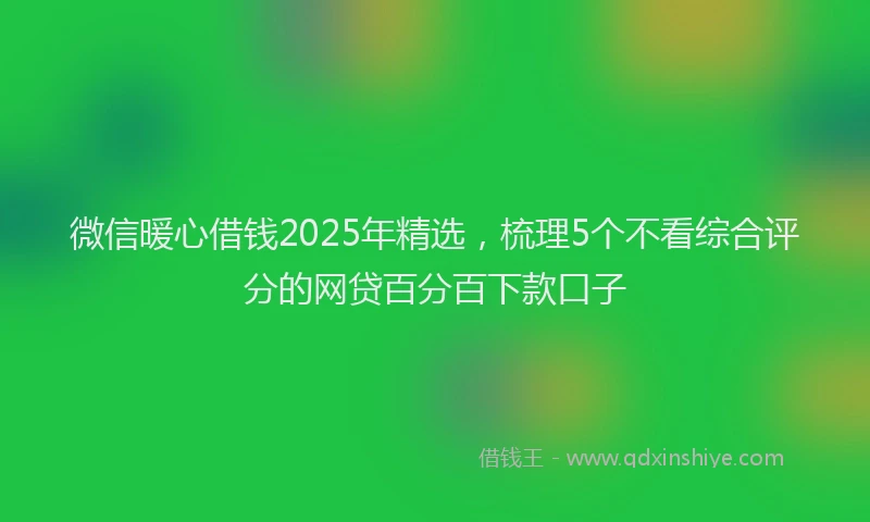 微信暖心借钱2025年精选，梳理5个不看综合评分的网贷百分百下款口子
