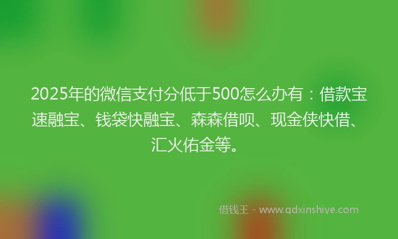 2025年的微信支付分低于500怎么办有：借款宝速融宝、钱袋快融宝、森森借呗、现金侠快借、汇火佑金等。