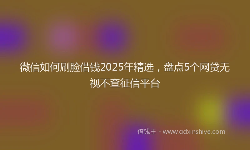 微信如何刷脸借钱2025年精选，盘点5个网贷无视不查征信平台