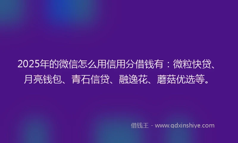 2025年的微信怎么用信用分借钱有：微粒快贷、月亮钱包、青石信贷、融逸花、蘑菇优选等。