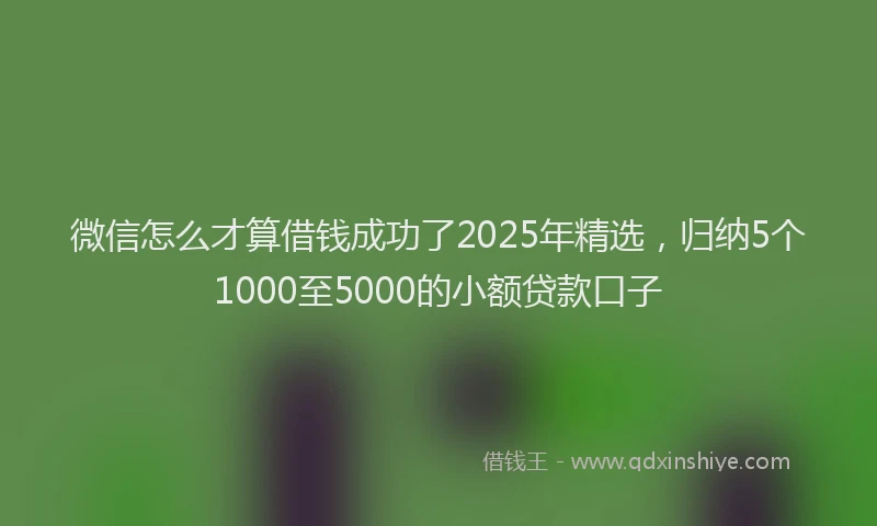 微信怎么才算借钱成功了2025年精选，归纳5个1000至5000的小额贷款口子