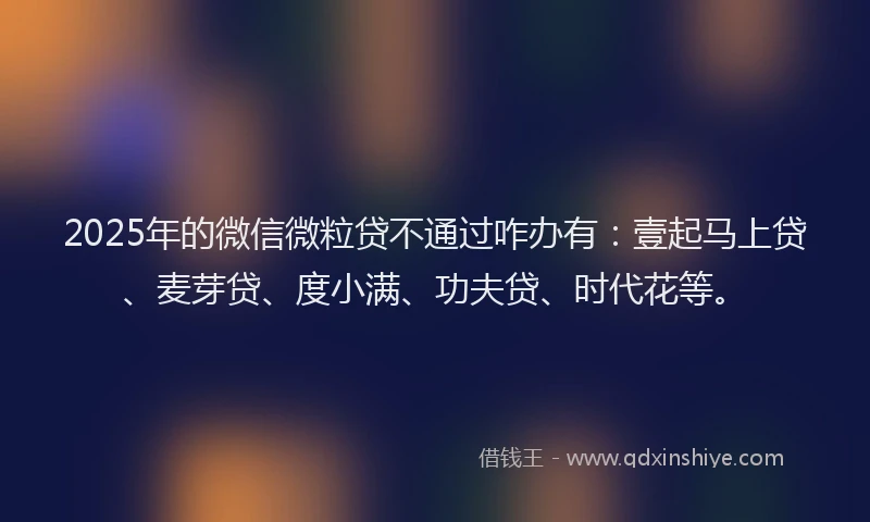 2025年的微信微粒贷不通过咋办有：壹起马上贷、麦芽贷、度小满、功夫贷、时代花等。