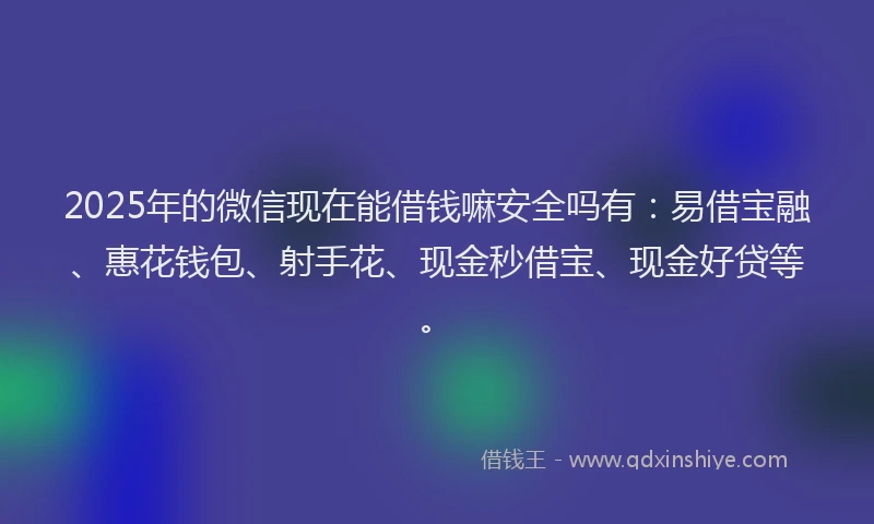 2025年的微信现在能借钱嘛安全吗有：易借宝融、惠花钱包、射手花、现金秒借宝、现金好贷等。