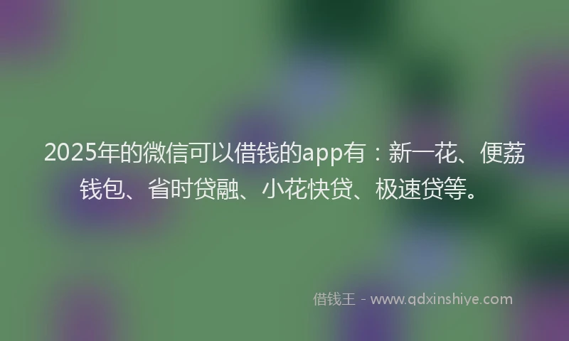 2025年的微信可以借钱的app有：新一花、便荔钱包、省时贷融、小花快贷、极速贷等。